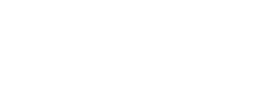 Sallyta Logo